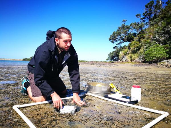 Intertidal flats sampling2